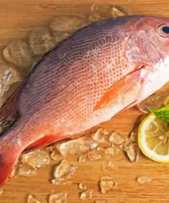 Snapper Fish Diamond Painting