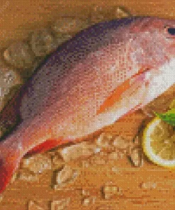 Snapper Fish Diamond Painting