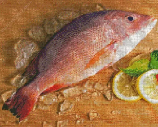 Snapper Fish Diamond Painting