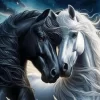 Stallion Horses Couple Diamond Painting