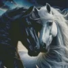 Stallion Horses Couple Diamond Painting