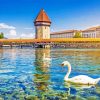 Swans And Chapel Bridge Diamond Painting