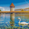 Swans And Chapel Bridge Diamond Painting