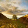 Sycamore Gap Diamond Painting