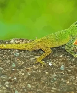 The Anolis Garmani Reptile Diamond Painting