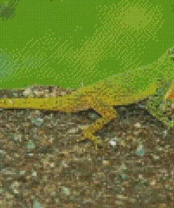 The Anolis Garmani Reptile Diamond Painting