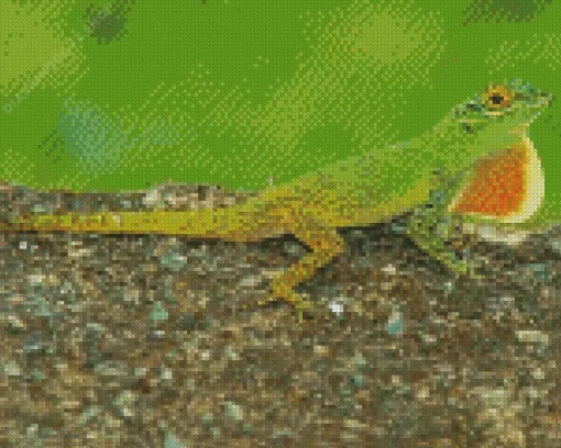 The Anolis Garmani Reptile Diamond Painting