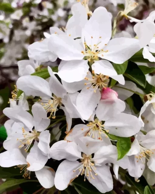 White Crabapple Diamond Painting