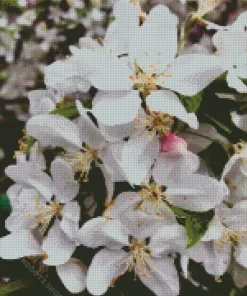 White Crabapple Diamond Painting