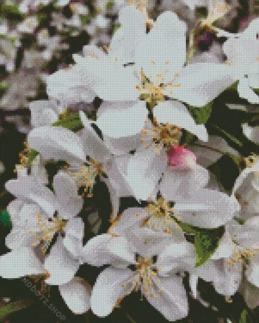 White Crabapple Diamond Painting