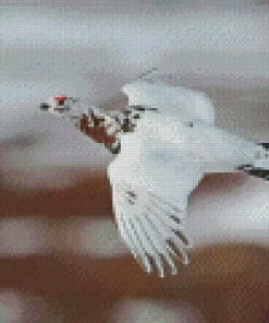 Willow Ptarmigan Diamond Painting