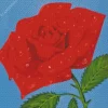 Aesthetic Rose Water Diamond Painting