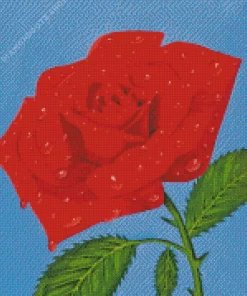 Aesthetic Rose Water Diamond Painting