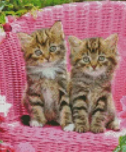 Aesthetic Tabby Kitten Diamond Painting