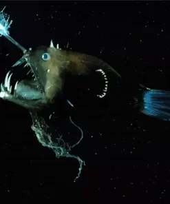 Deep Sea Anglerfish Diamond Painting