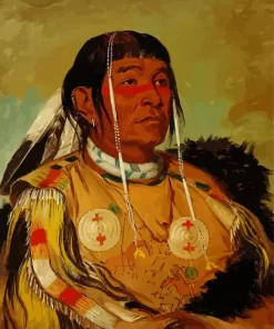 George Catlin Diamond Painting