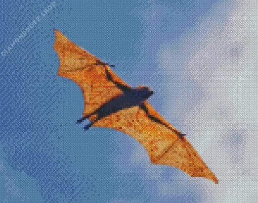 Giant Golden Crowned Flying Fox Diamond Painting