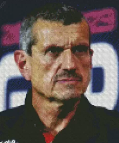 Guenther Steiner Diamond Painting