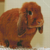 Holland Lop Diamond Painting