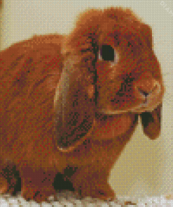 Holland Lop Diamond Painting