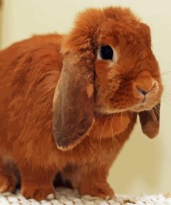 Holland Lop Diamond Painting