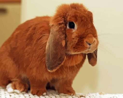 Holland Lop Diamond Painting