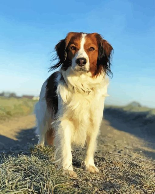 Kooikerhondje Dog Diamond Painting