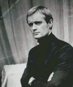 Monochrome David Mccallum Diamond Painting