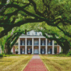 Oak Alley Plantation Entrance Diamond Painting