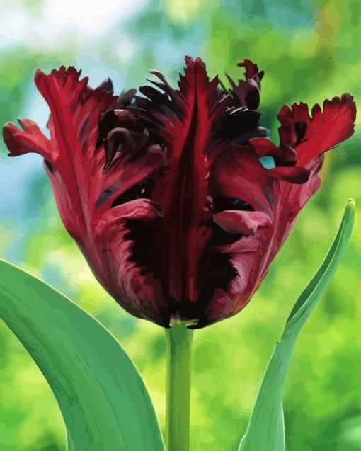 Parrot Tulip Flowers Diamond Painting