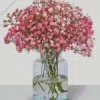 Pink White Baby Breath Flowers Diamond Painting