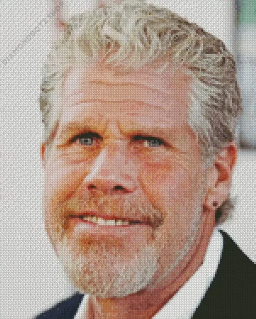 Ron Perlman Diamond Painting