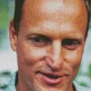 The Actor Woody Harrelson Diamond Painting