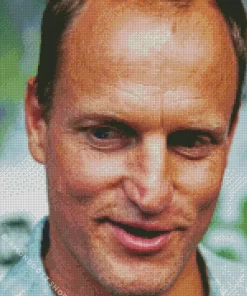 The Actor Woody Harrelson Diamond Painting