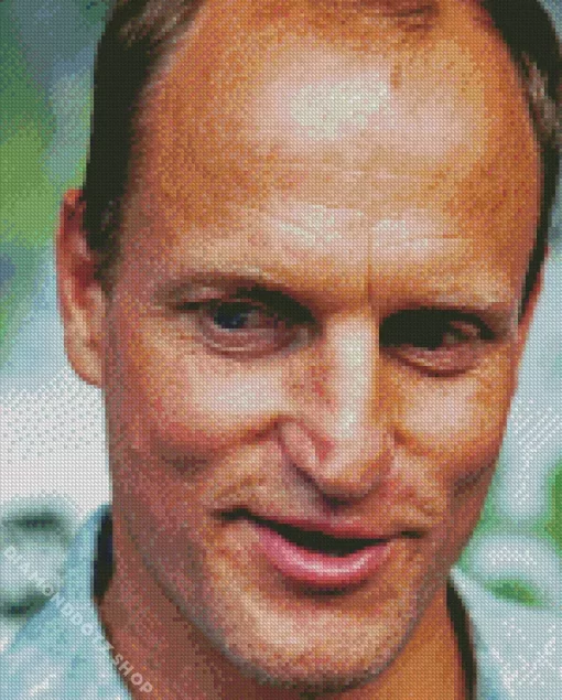 The Actor Woody Harrelson Diamond Painting