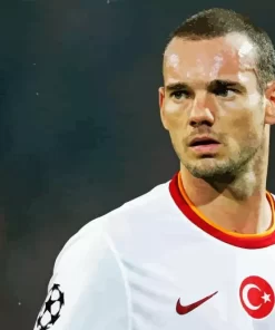 Wesley Sneijder Diamond Painting