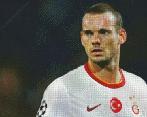 Wesley Sneijder Diamond Painting