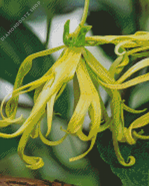 Ylang Ylang Tree Diamond Painting