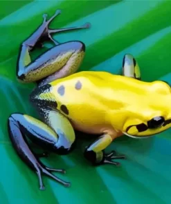 Black Legged Golden Poison Frog Diamond Painting