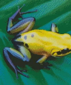 Black Legged Golden Poison Frog Diamond Painting