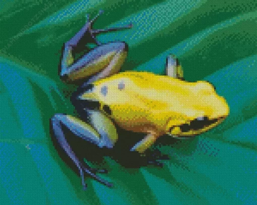 Black Legged Golden Poison Frog Diamond Painting