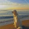 White Dog In The Beach Diamond Painting