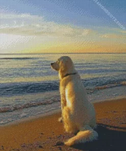 White Dog In The Beach Diamond Painting