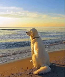 White Dog In The Beach Diamond Painting