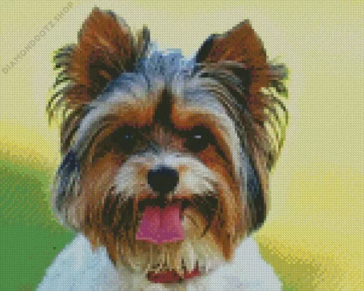 Biewer Terrier Diamond Painting