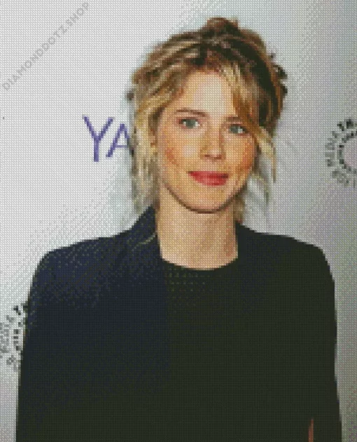 Emily Bett Rickards Diamond Painting