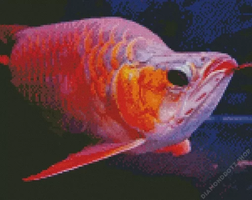 Red Asian Arowana Diamond Painting