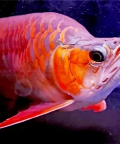 Red Asian Arowana Diamond Painting