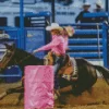 Barrel Racer Diamond Painting