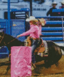 Barrel Racer Diamond Painting